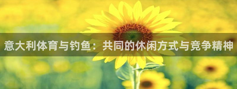球客岛