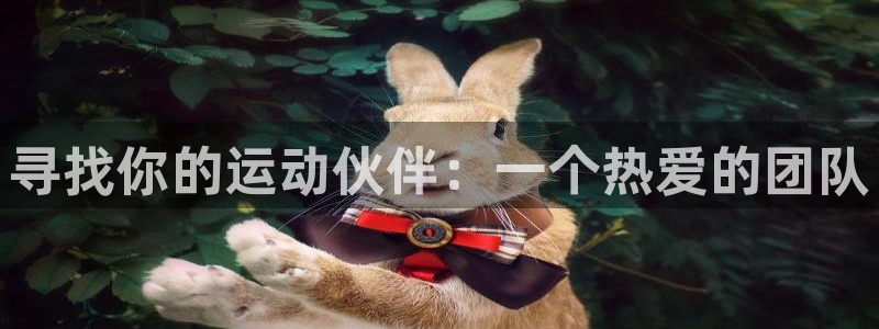 球客岛