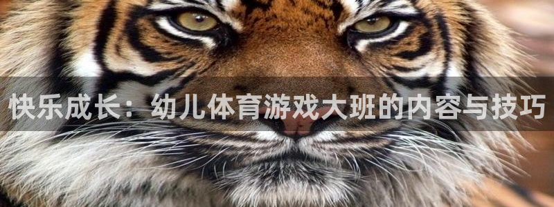 球客岛