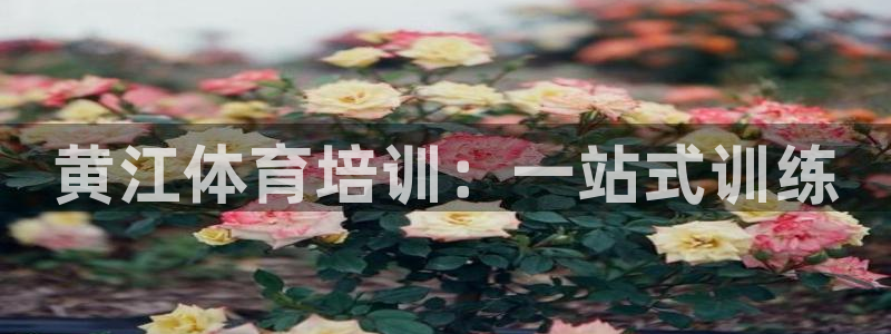 球客岛