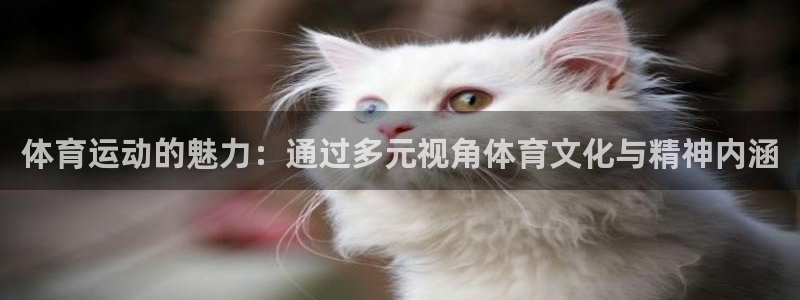 球客岛