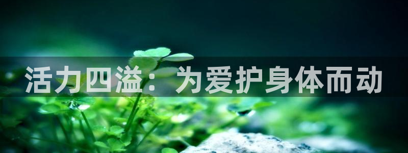 球客岛
