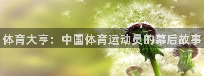 球客岛